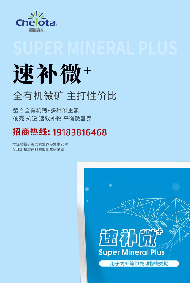 pp����ģ���������ٲ�΢+����