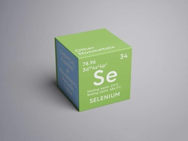 se se
