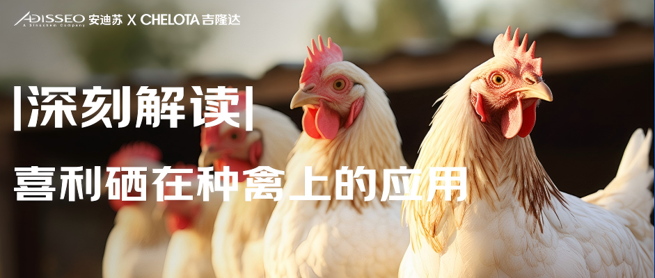 2025.03.27推文封面 2025.03.27推文封面