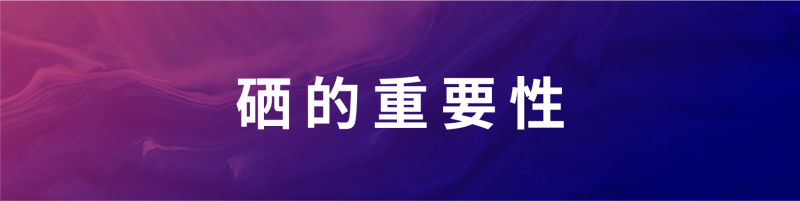文章标题标注-06 文章标题标注-06