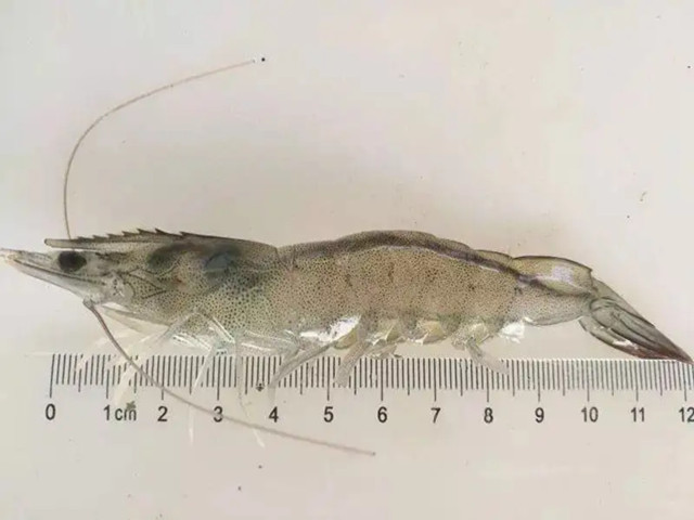 ��Ϻ��ͬʱ�ڵĲ�����֪