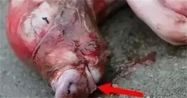 �ж�ĸ���Ƿ�����3������ĸ���ӹ���λ