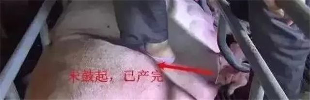 �ж�ĸ���Ƿ�����3������ĸ���ӹ���λ