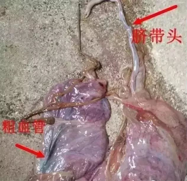 �ж�ĸ���Ƿ�����1���������ͷ