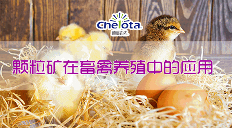 ËÇÁÏÌí¼Ó¼Á ËÇÁÏÌí¼Ó¼Á