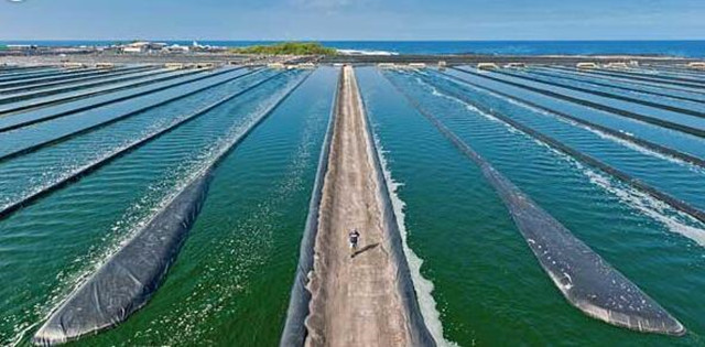 ��Ϻ͵����ô��