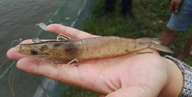 ��Ϻ�ٲ����